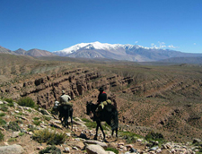 Chile-Central-Freedom Ride from Chile to Argentina